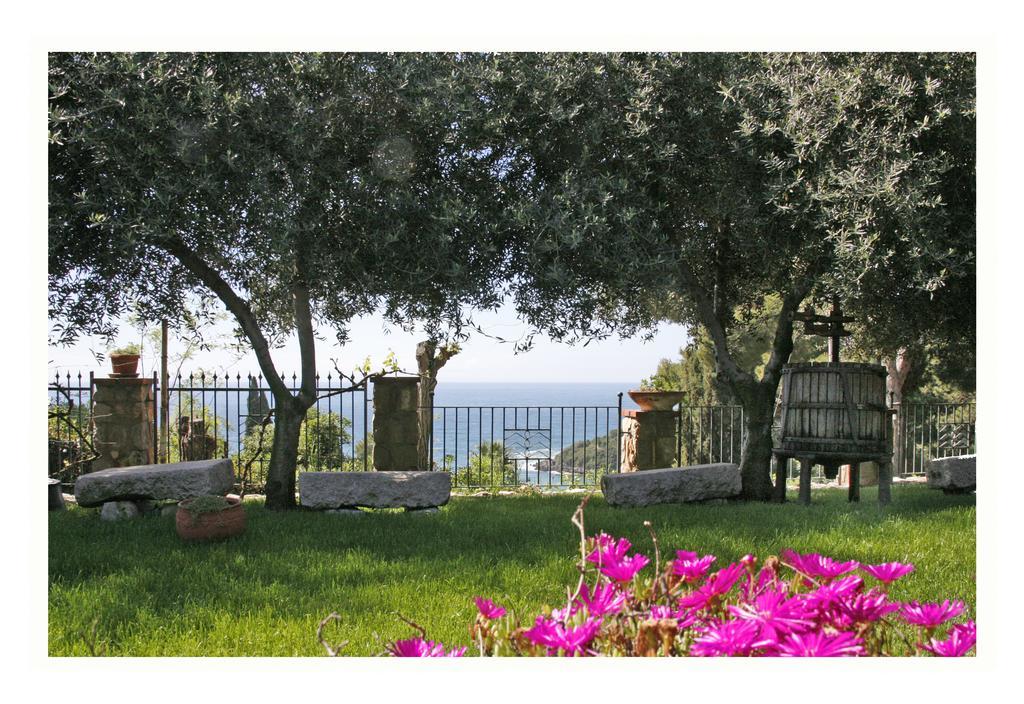 Villa Michela Tra Cielo E Mare Gaeta Cameră foto
